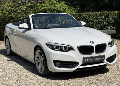 Bmw 218i Cabriolet Advantage